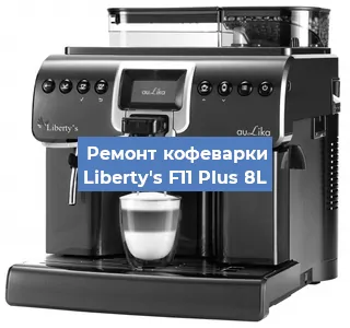 Замена прокладок на кофемашине Liberty's F11 Plus 8L в Краснодаре